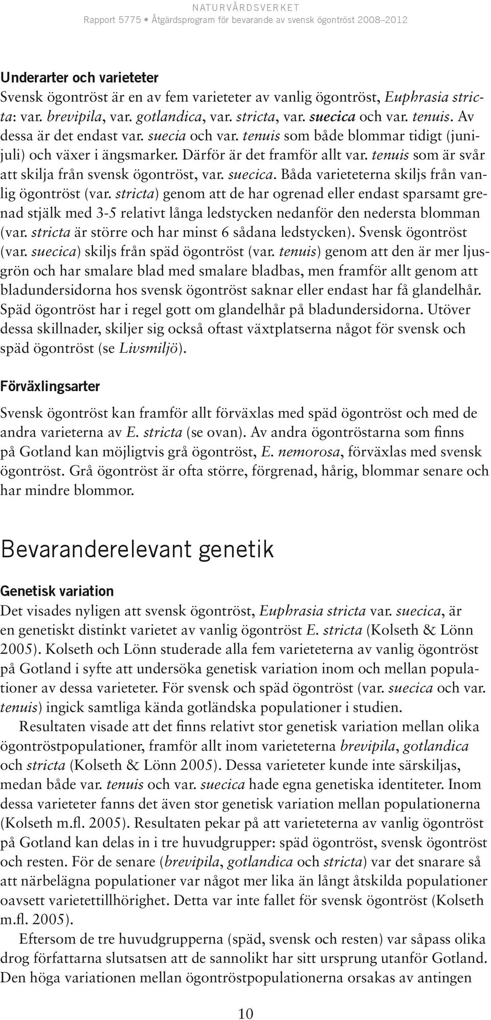suecica. Båda varieteterna skiljs från vanlig ögontröst (var.