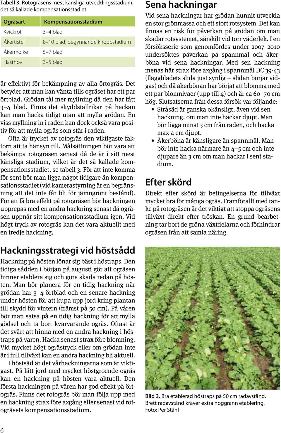 blad 3 5 blad är effektivt för bekämpning av alla örtogräs. Det betyder att man kan vänta tills ogräset har ett par örtblad. Grödan tål mer myllning då den har fått 3 4 blad.