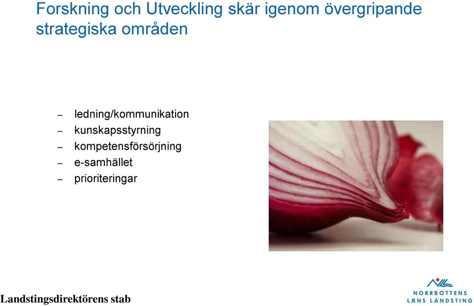 ledning/kommunikation kunskapsstyrning