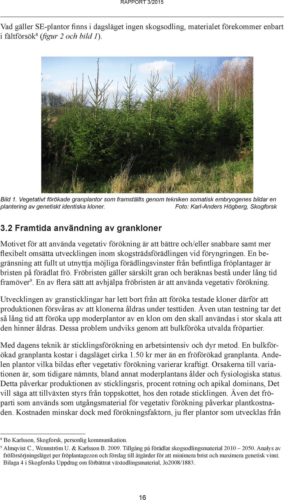 2 Framtida användning av grankloner Motivet för att använda vegetativ förökning är att bättre och/eller snabbare samt mer flexibelt omsätta utvecklingen inom skogsträdsförädlingen vid föryngringen.