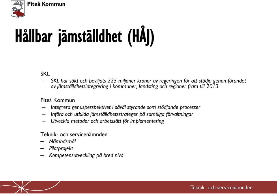 Integrera genusperspektivet i såväl styrande som stödjande processer Införa och utbilda jämställdhetsstrateger på