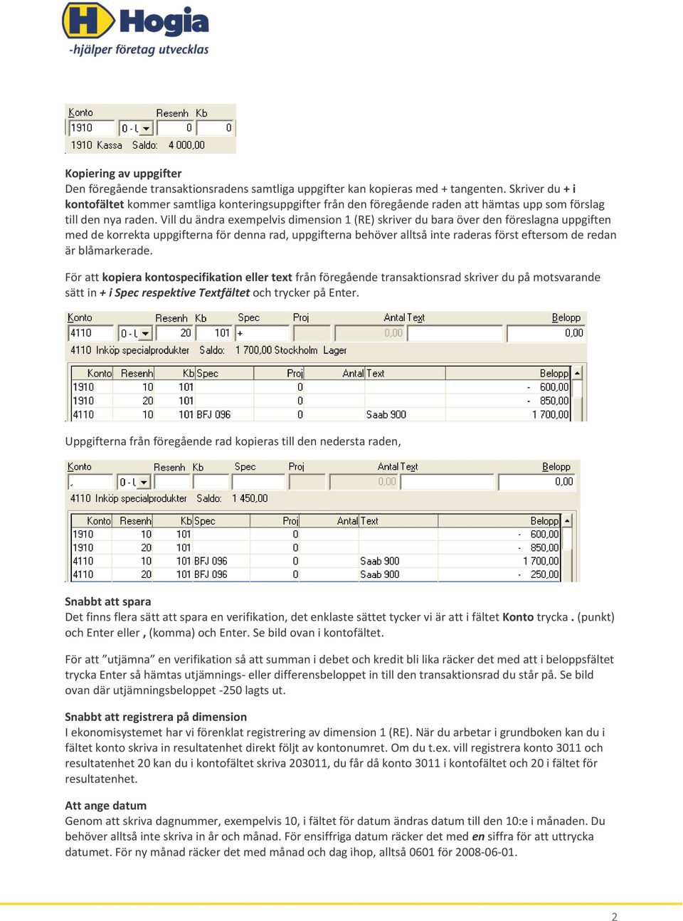 Vill du ändra exempelvis dimension 1 (RE) skriver du bara över den föreslagna uppgiften med de korrekta uppgifterna för denna rad, uppgifterna behöver alltså inte raderas först eftersom de redan är