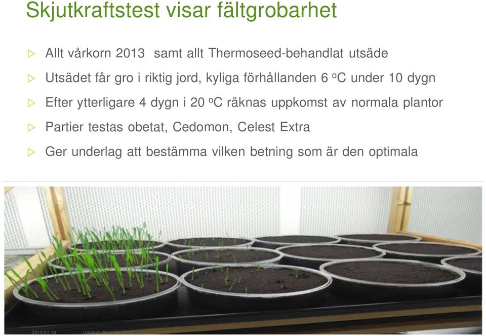 ytterligare 4 dygn i 20 o C räknas uppkomst av normala plantor Partier testas obetat,