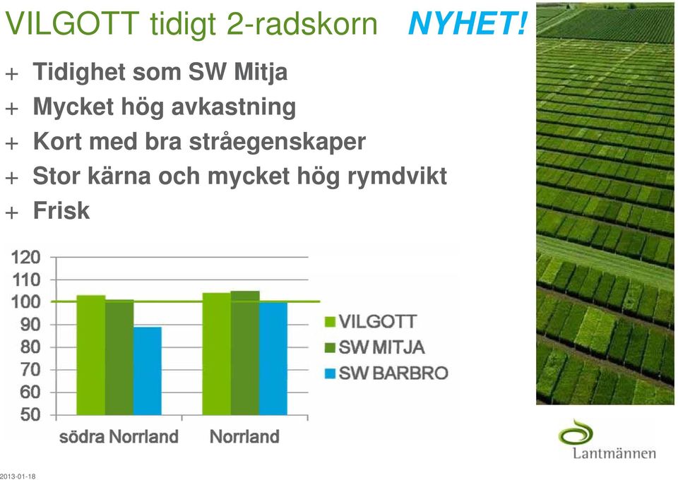 Kort med bra stråegenskaper + Stor