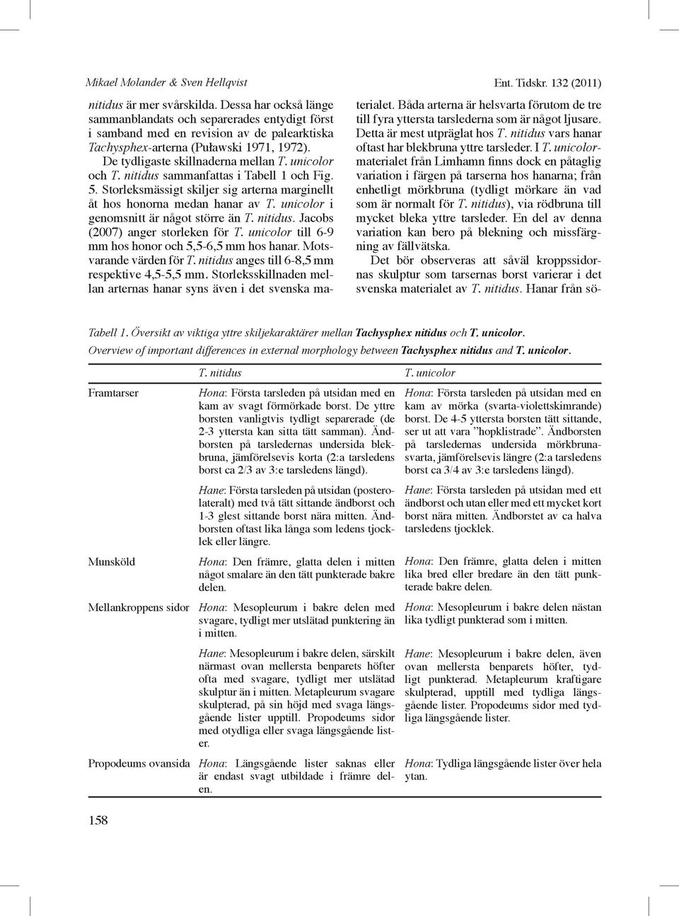unicolor och T. nitidus sammanfattas i Tabell 1 och Fig. 5. Storleksmässigt skiljer sig arterna marginellt åt hos honorna medan hanar av T. unicolor i genomsnitt är något större än T. nitidus. Jacobs (2007) anger storleken för T.