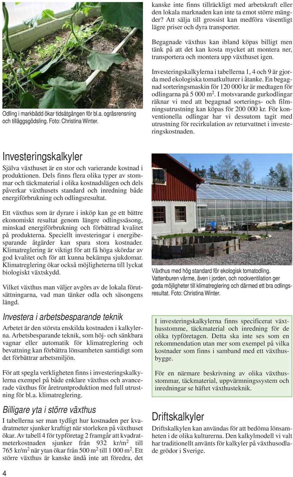 Foto: Christina Winter. Investeringskalkylerna i tabellerna 1, 4 och 9 är gjorda med ekologiska tomatkulturer i åtanke.