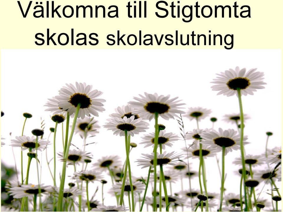 Stigtomta