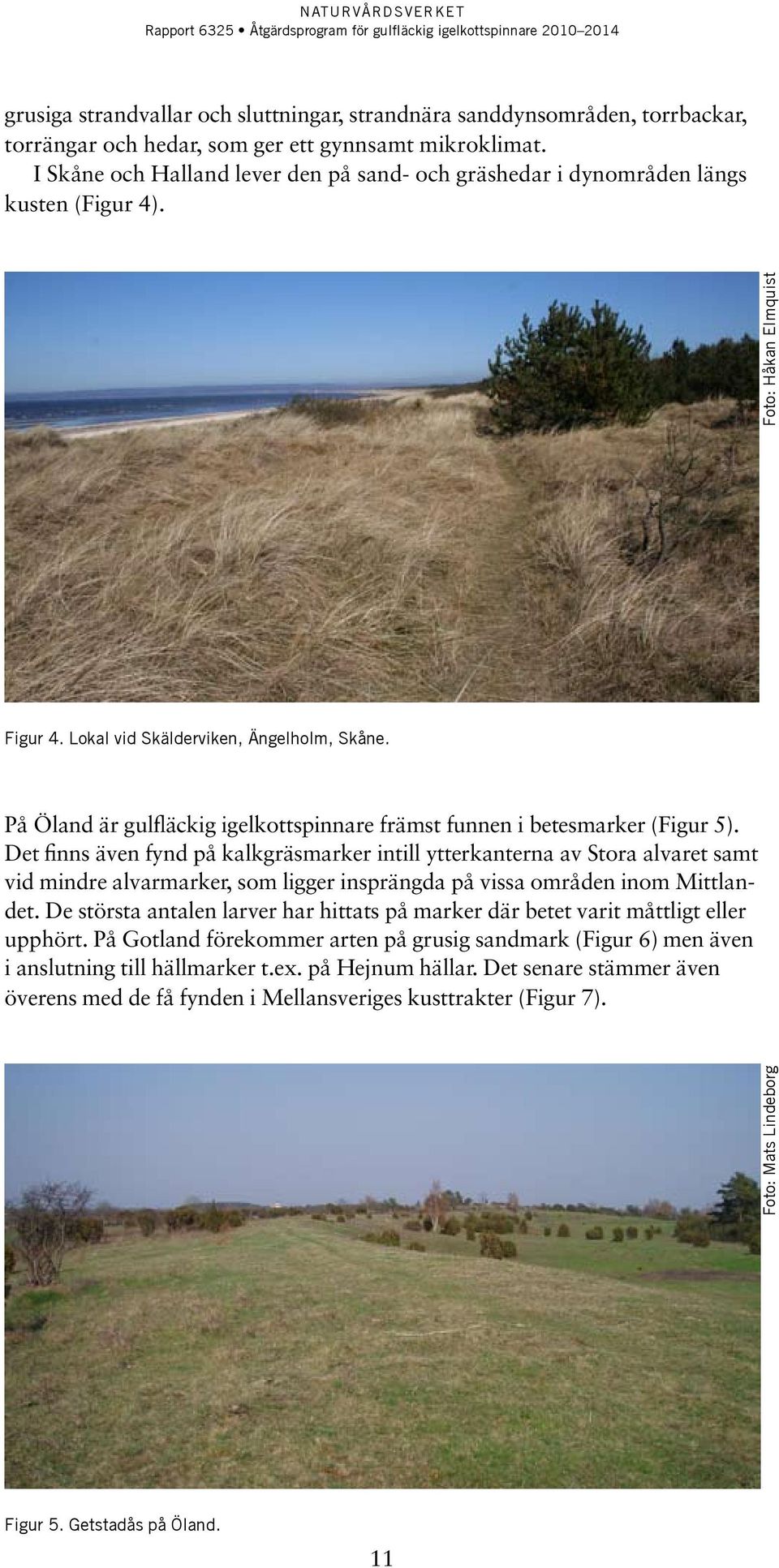 På Öland är gulfläckig igelkottspinnare främst funnen i betesmarker (Figur 5).