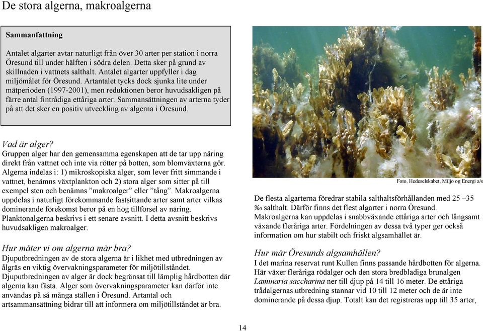 Artantalet tycks dock sjunka lite under mätperioden 1997-2001), men reduktionen beror huvudsakligen på färre antal fintrådiga ettåriga arter.