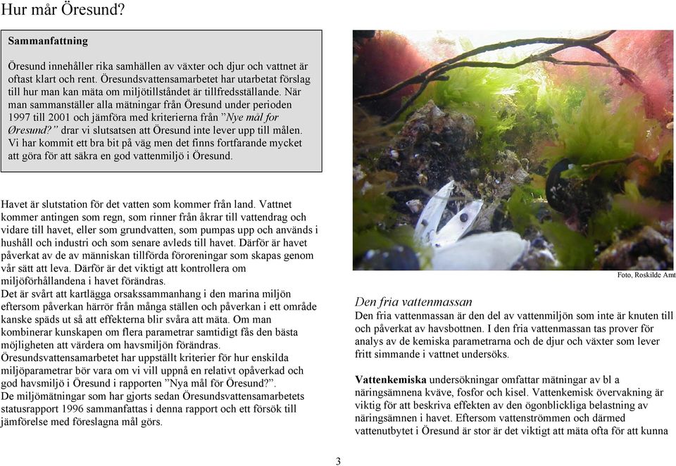 När man sammanställer alla mätningar från Öresund under perioden 1997 till 2001 och jämföra med kriterierna från Nye mål for Øresund? drar vi slutsatsen att Öresund inte lever upp till målen.