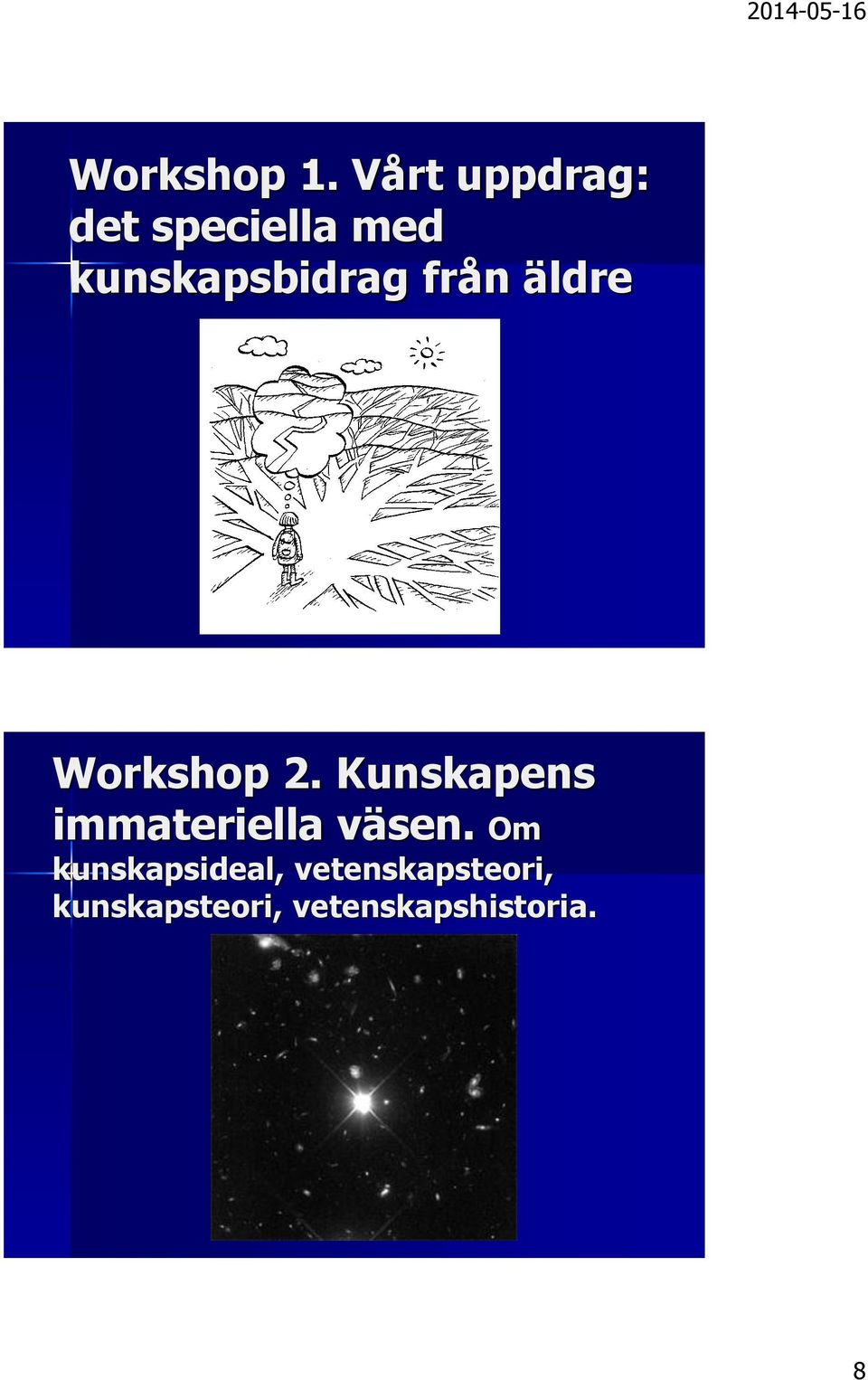 kunskapsbidrag från äldre Workshop 2.