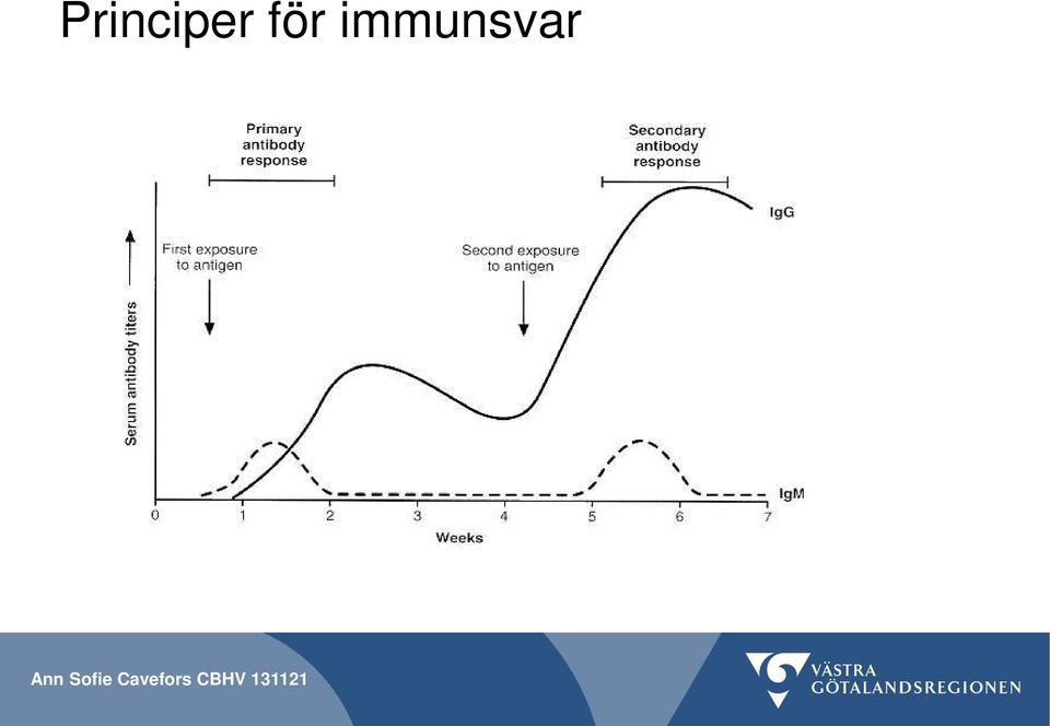 immunsvar