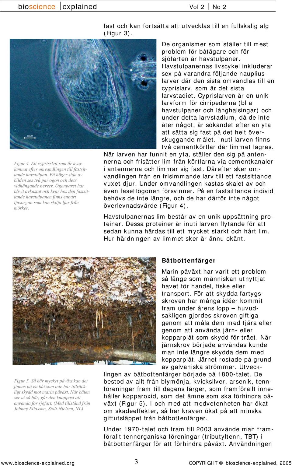 De organismer som ställer till mest problem för båtägare och för sjöfarten är havstulpaner.
