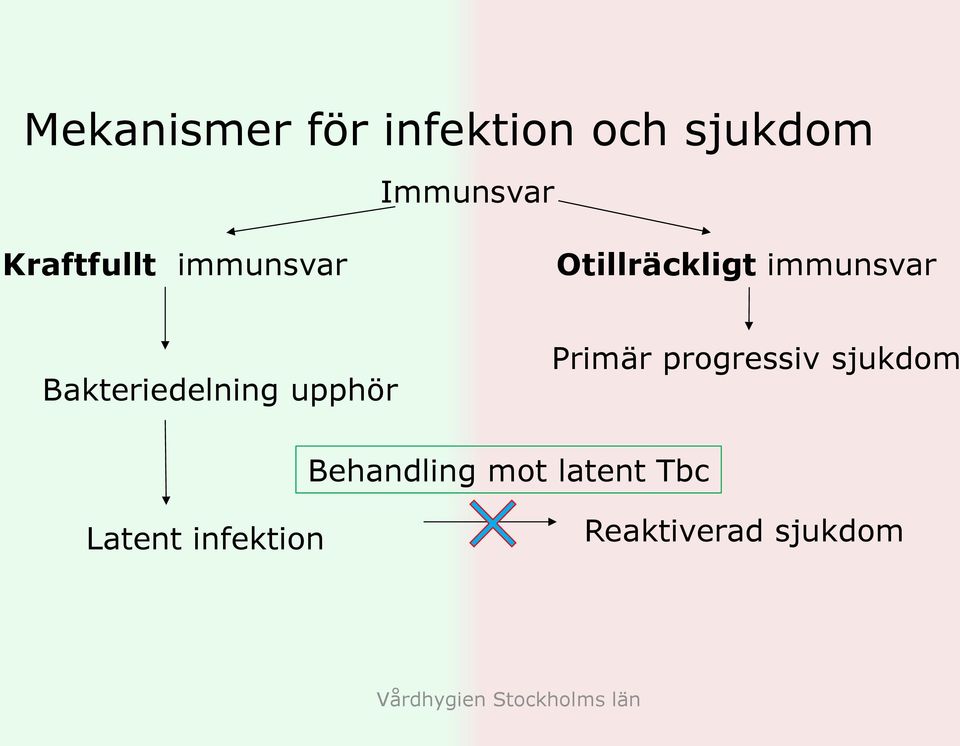 Primär progressiv sjukdom Behandling mot latent Tbc