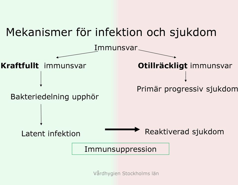 Bakteriedelning upphör Primär progressiv sjukdom