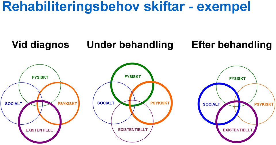 FYSISKT SOCIALT PSYKISKT SOCIALT PSYKISKT SOCIALT