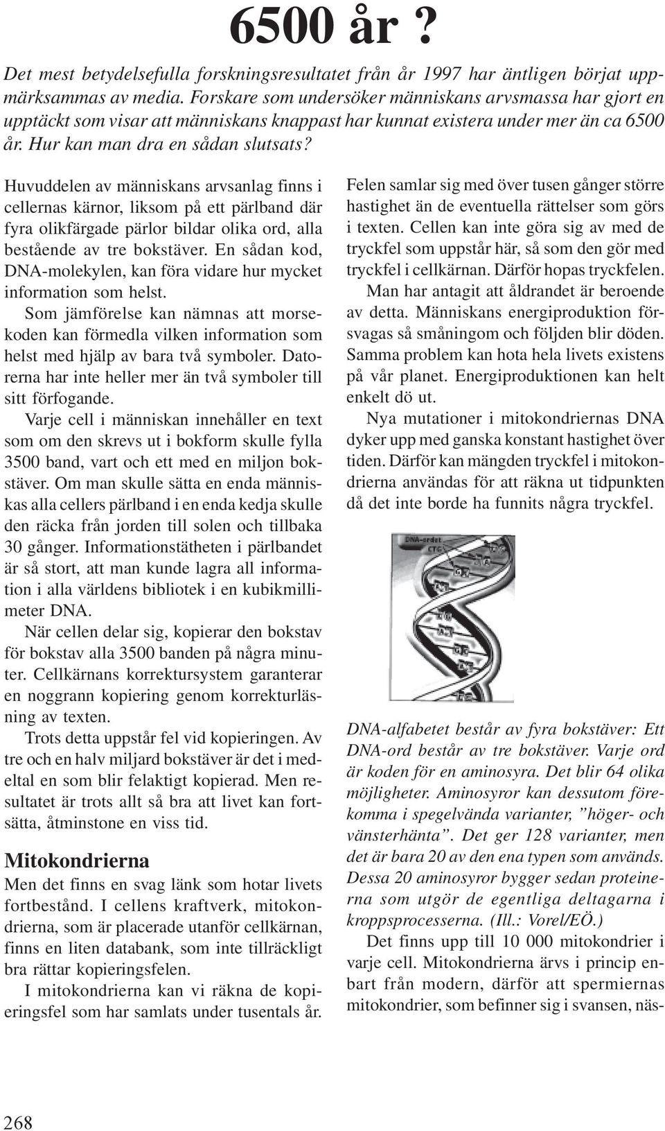 Huvuddelen av människans arvsanlag finns i cellernas kärnor, liksom på ett pärlband där fyra olikfärgade pärlor bildar olika ord, alla bestående av tre bokstäver.