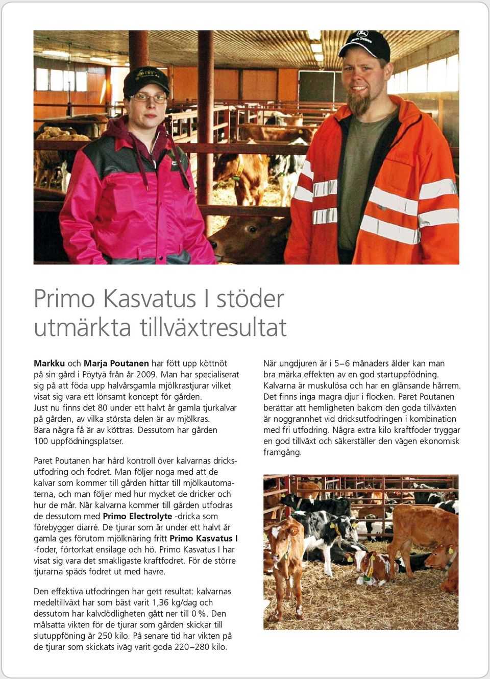 Just nu finns det 80 under ett halvt år gamla tjurkalvar på gården, av vilka största delen är av mjölkras. Bara några få är av köttras. Dessutom har gården 100 uppfödningsplatser.