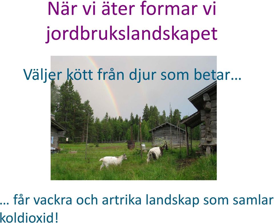 från djur som betar får vackra