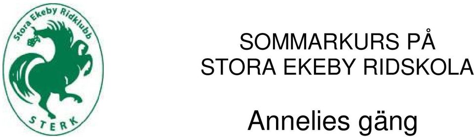 Frukost, lunch och fika serveras på cafét. Datum: 13 15/8. Kl 08.00 ca 15.30 Ridlärare Annelie Svalenborn Kurspris.