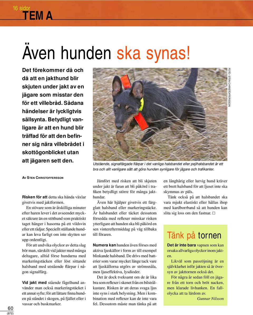 Utstående, signalfärgade flärpar i det vanliga halsbandet eller pejlhalsbandet är ett bra och allt vanligare sätt att göra hunden synligare för jägare och trafikanter.