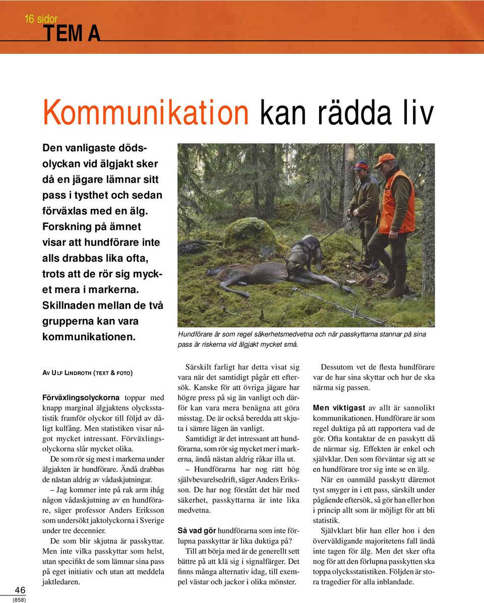 Hundförare är som regel säkerhetsmedvetna och när passkyttarna stannar på sina pass är riskerna vid älgjakt mycket små.