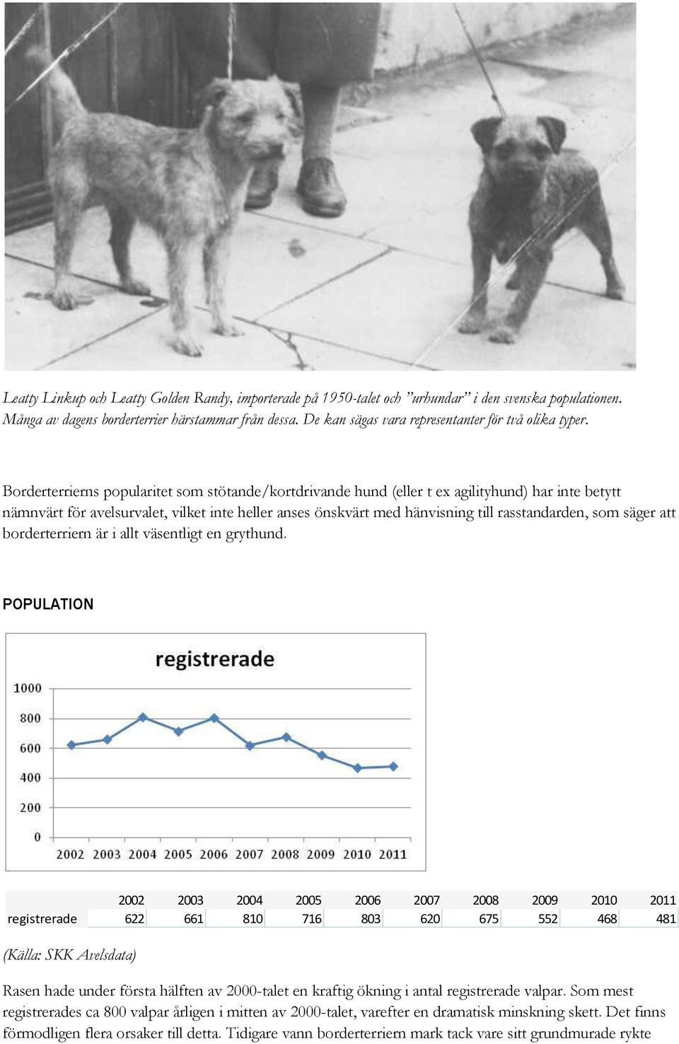 Borderterrierns popularitet som stötande/kortdrivande hund (eller t ex agilityhund) har inte betytt nämnvärt för avelsurvalet, vilket inte heller anses önskvärt med hänvisning till rasstandarden, som