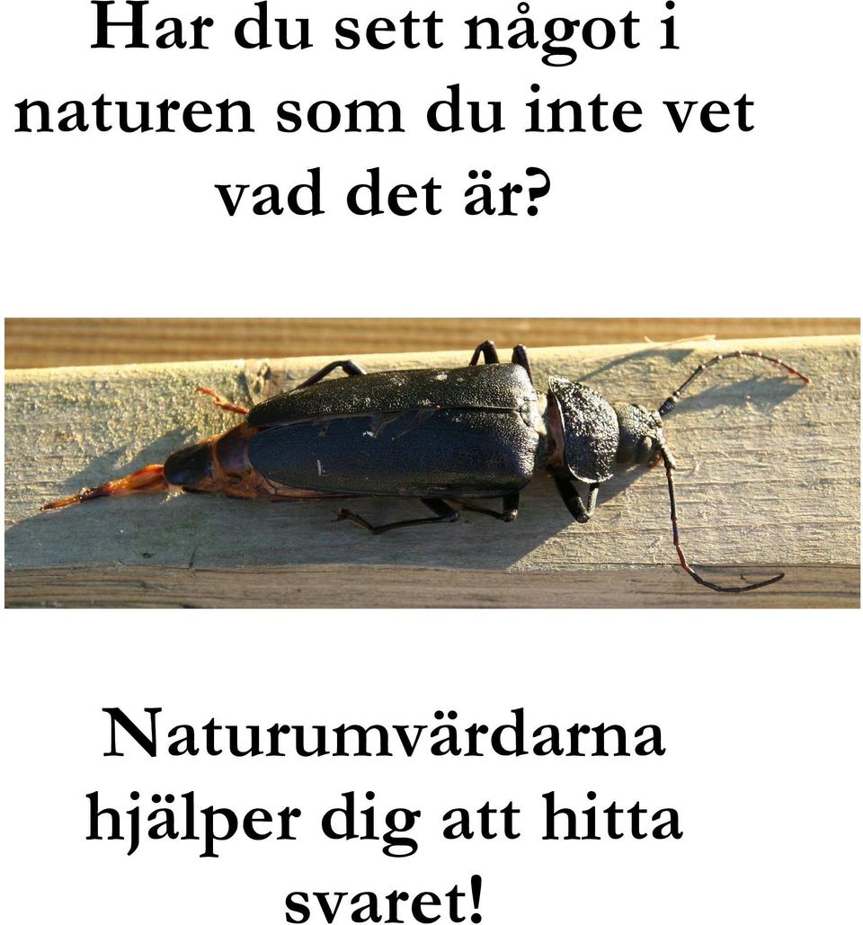 vad det är?