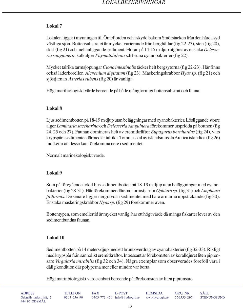 Floran på 14-15 m djup utgöres av enstaka Delesseria sanguinera, kalkalger Phymatolithon och bruna cyanobakterier (fig 22).