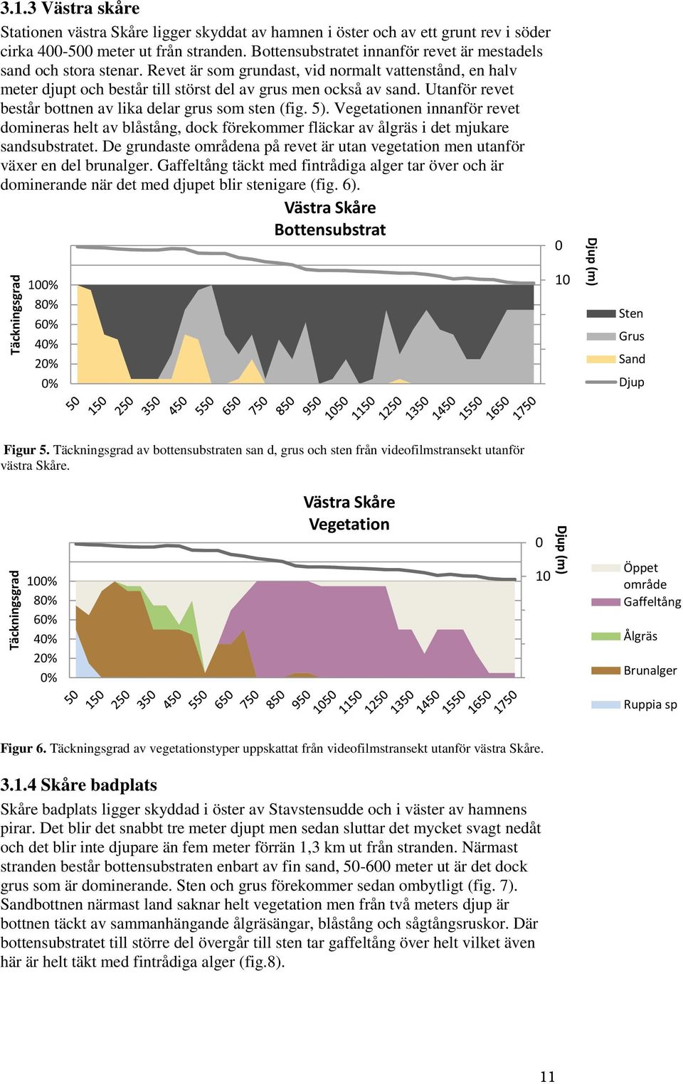 Utanför revet består bottnen av lika delar grus som sten (fig. 5). Vegetationen innanför revet domineras helt av blåstång, dock förekommer fläckar av ålgräs i det mjukare sandsubstratet.