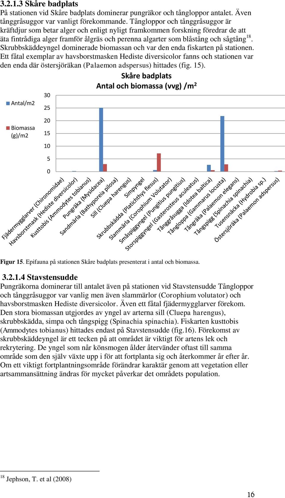 Skrubbskäddeyngel dominerade biomassan och var den enda fiskarten på stationen.