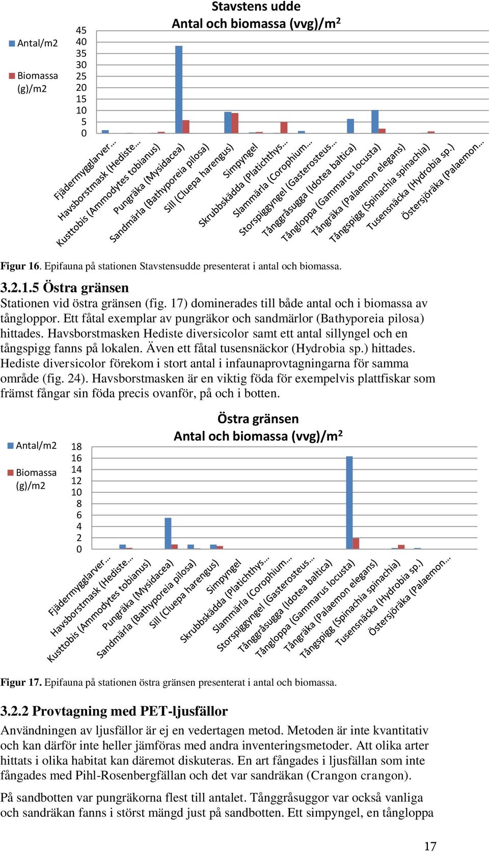 Havsborstmasken Hediste diversicolor samt ett antal sillyngel och en tångspigg fanns på lokalen. Även ett fåtal tusensnäckor (Hydrobia sp.) hittades.