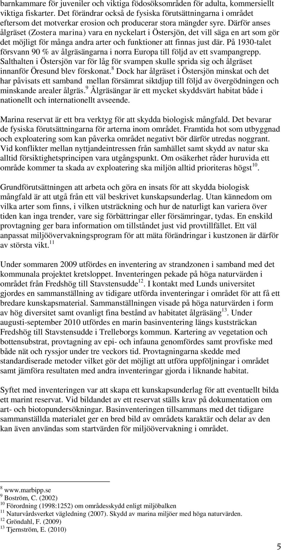 Därför anses ålgräset (Zostera marina) vara en nyckelart i Östersjön, det vill säga en art som gör det möjligt för många andra arter och funktioner att finnas just där.