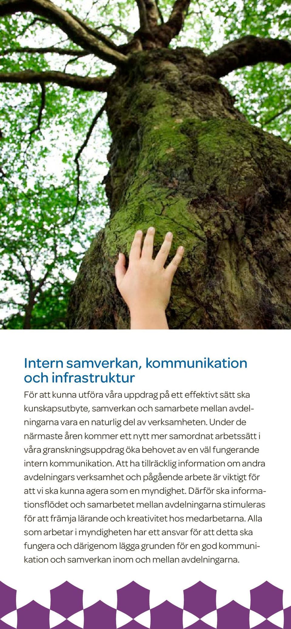 Att ha tillräcklig information om andra avdelningars verksamhet och pågående arbete är viktigt för att vi ska kunna agera som en myndighet.