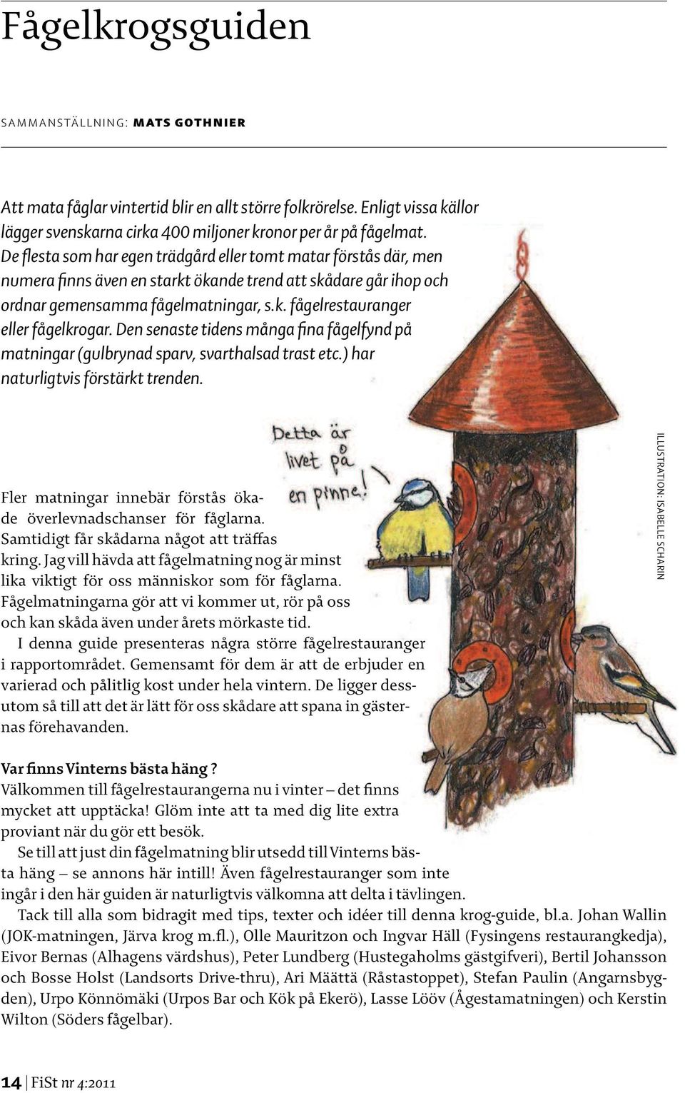Den senaste tidens många fina fågelfynd på matningar (gulbrynad sparv, svarthalsad trast etc.) har naturligtvis förstärkt trenden. Fler matningar innebär förstås ökade överlevnadschanser för fåglarna.