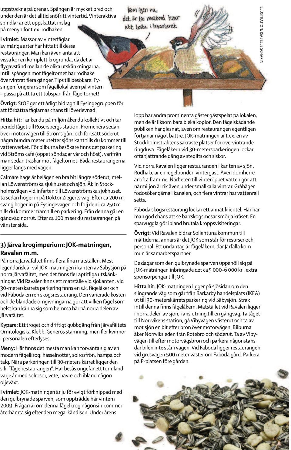 Intill spången mot fågeltornet har rödhake övervintrat flera gånger. Tips till besökare: Fysingen fungerar som fågellokal även på vintern passa på att ta ett tubspan från fågeltornet!