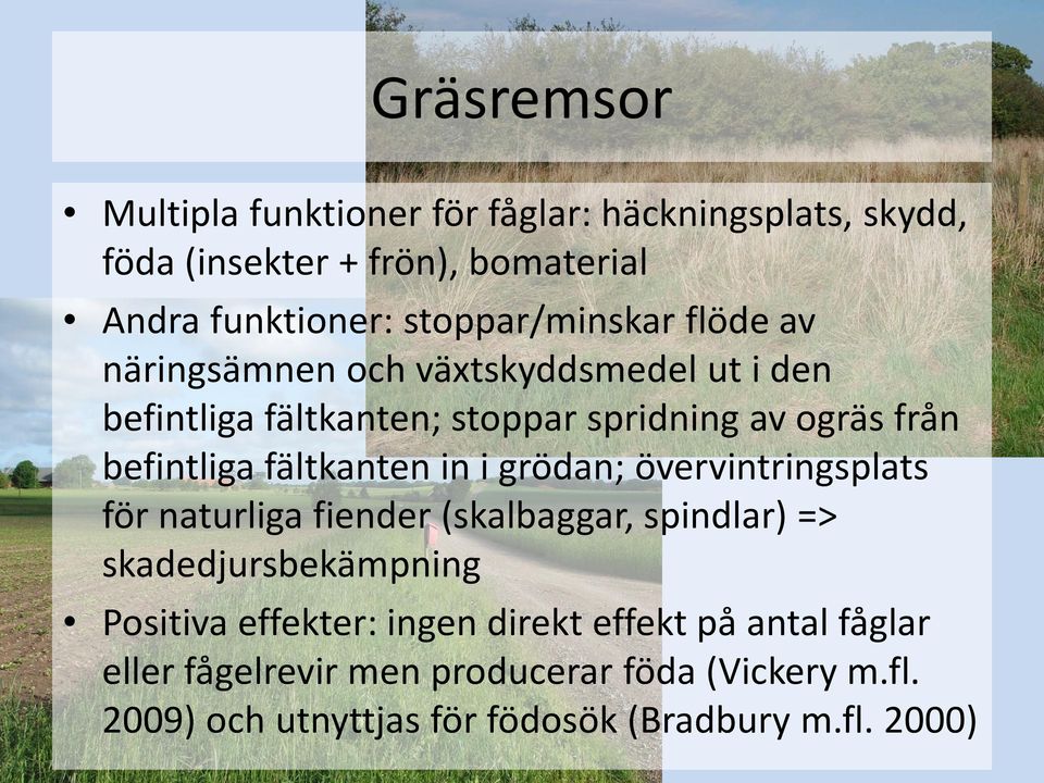 befintliga fältkanten in i grödan; övervintringsplats för naturliga fiender (skalbaggar, spindlar) => skadedjursbekämpning