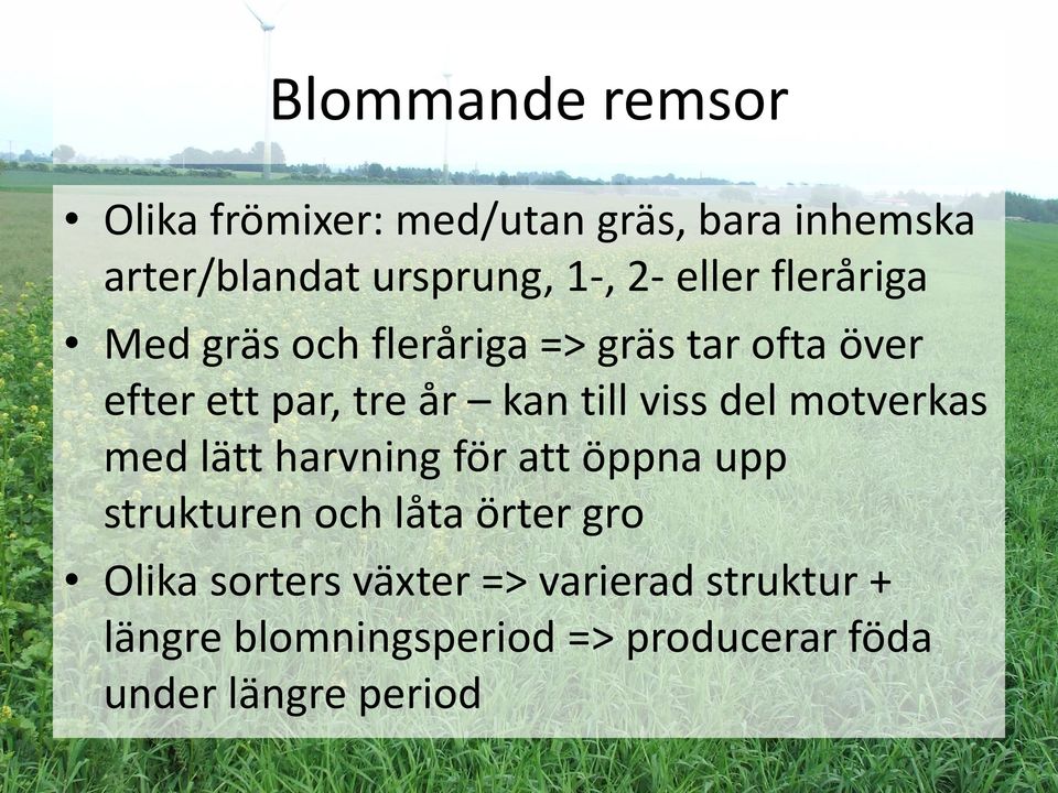 viss del motverkas med lätt harvning för att öppna upp strukturen och låta örter gro Olika