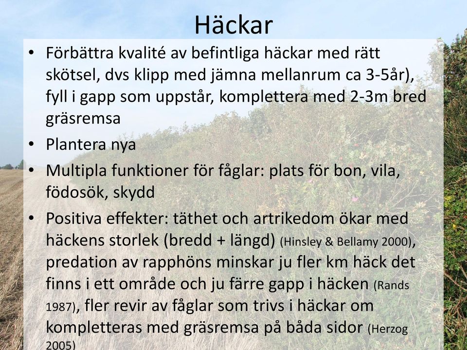 täthet och artrikedom ökar med häckens storlek (bredd + längd) (Hinsley & Bellamy 2000), predation av rapphöns minskar ju fler km häck det