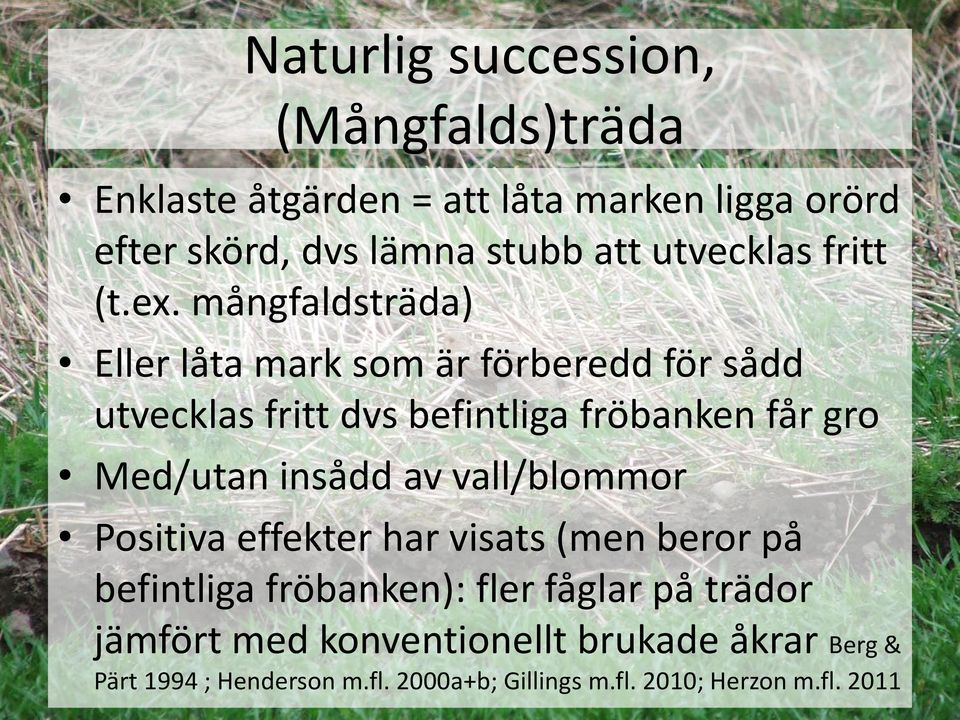 mångfaldsträda) Eller låta mark som är förberedd för sådd utvecklas fritt dvs befintliga fröbanken får gro Med/utan insådd