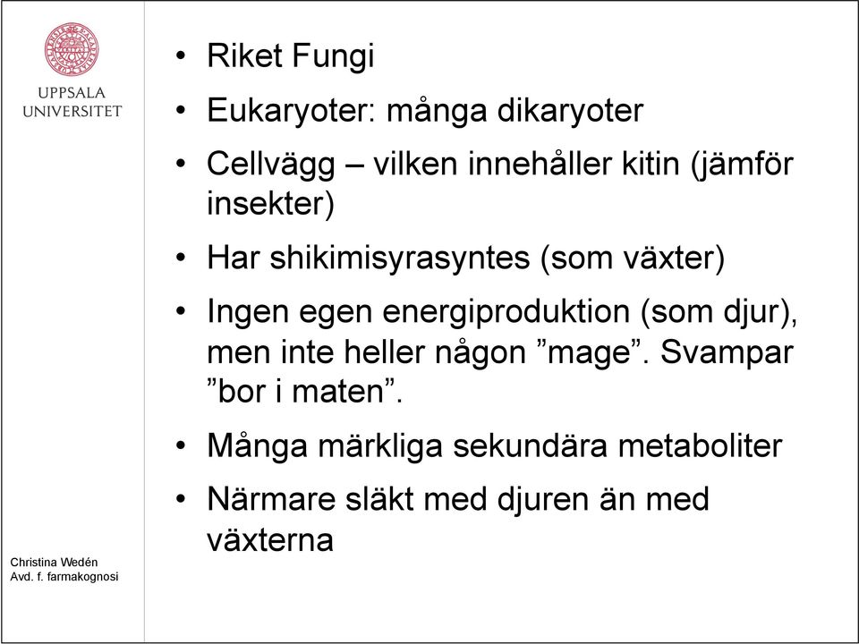 energiproduktion (som djur), men inte heller någon mage.