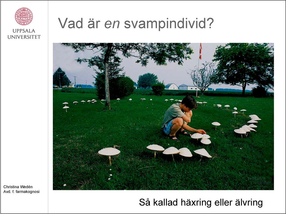 Så kallad