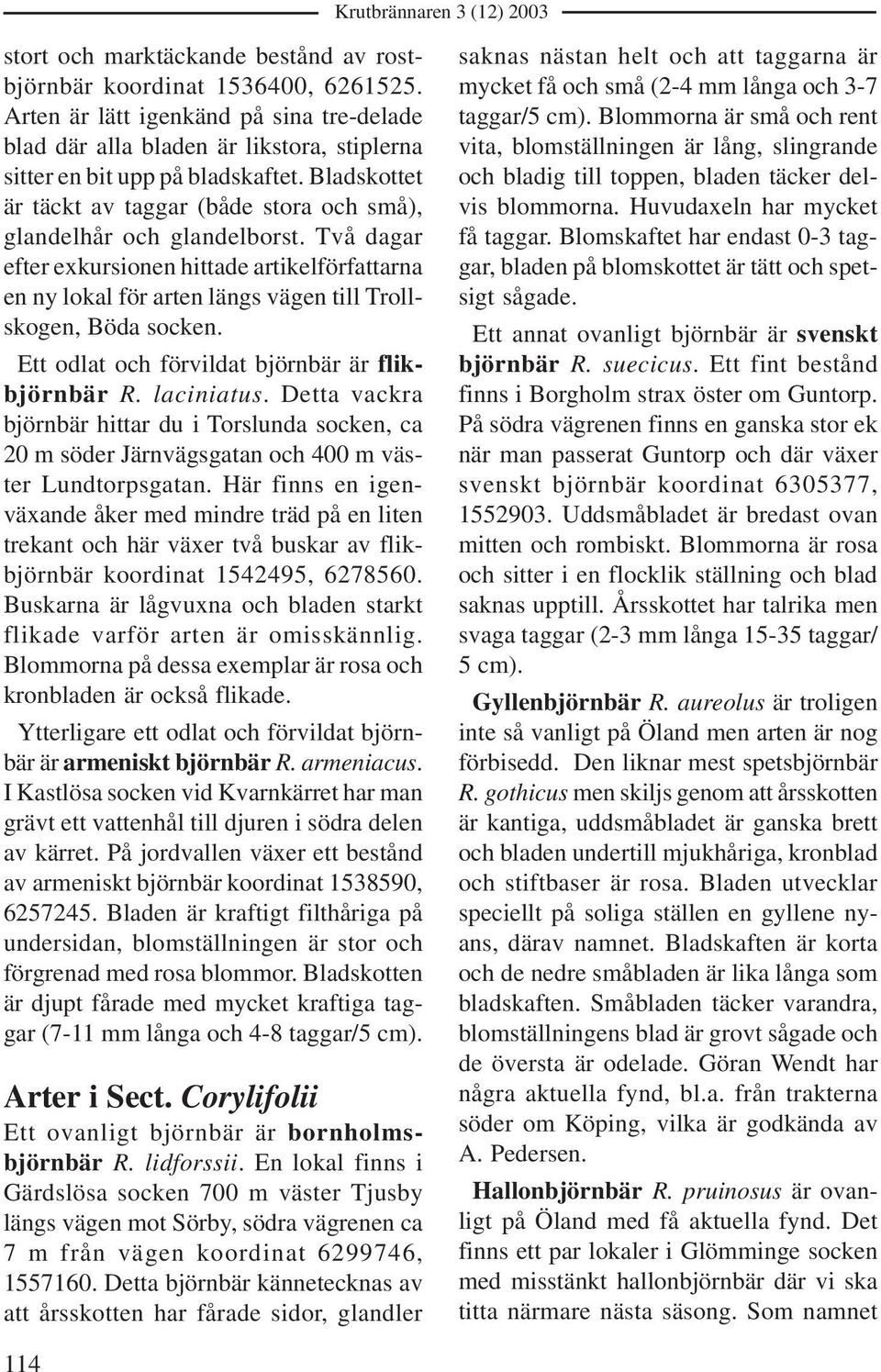 Två dagar efter exkursionen hittade artikelförfattarna en ny lokal för arten längs vägen till Trollskogen, Böda socken. Ett odlat och förvildat björnbär är flikbjörnbär R. laciniatus.