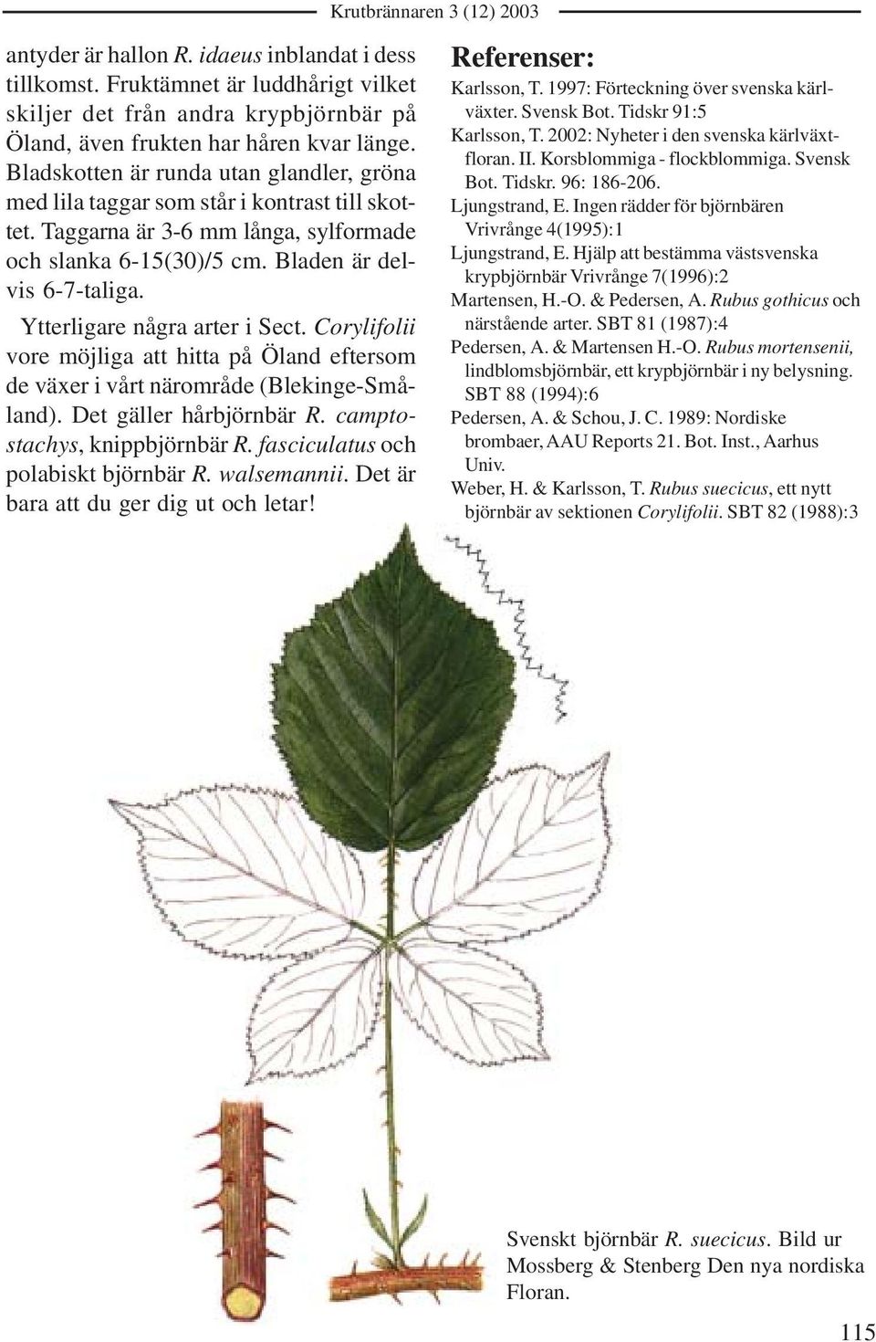 Ytterligare några arter i Sect. Corylifolii vore möjliga att hitta på Öland eftersom de växer i vårt närområde (Blekinge-Småland). Det gäller hårbjörnbär R. camptostachys, knippbjörnbär R.