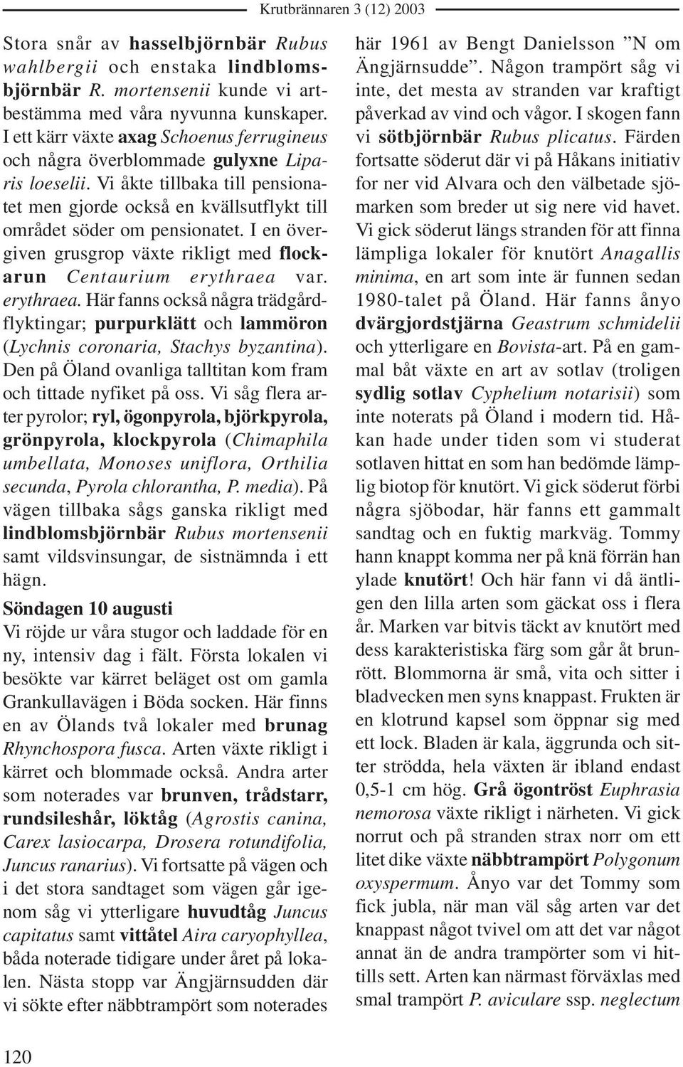 I en övergiven grusgrop växte rikligt med flockarun Centaurium erythraea var. erythraea. Här fanns också några trädgårdflyktingar; purpurklätt och lammöron (Lychnis coronaria, Stachys byzantina).