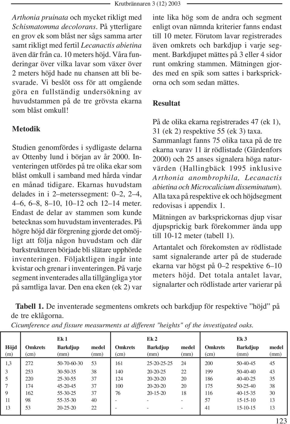 Vi beslöt oss för att omgående göra en fullständig undersökning av huvudstammen på de tre grövsta ekarna som blåst omkull!