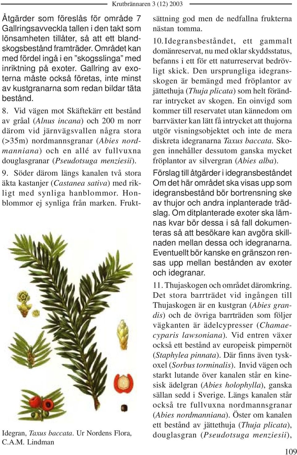 Vid vägen mot Skäftekärr ett bestånd av gråal (Alnus incana) och 200 m norr därom vid järnvägsvallen några stora (>35m) nordmannsgranar (Abies nordmanniana) och en allé av fullvuxna douglasgranar