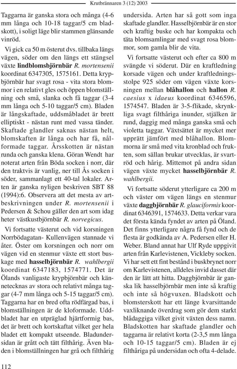 Detta krypbjörnbär har svagt rosa - vita stora blommor i en relativt gles och öppen blomställning och små, slanka och få taggar (3-4 mm långa och 5-10 taggar/5 cm).