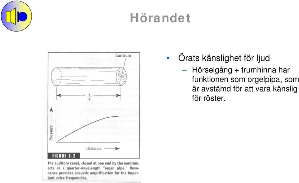 funktionen som orgelpipa, som är