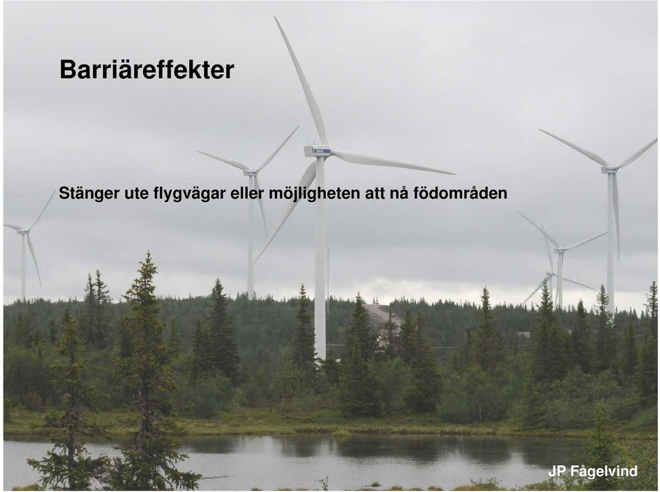 flygvägar eller